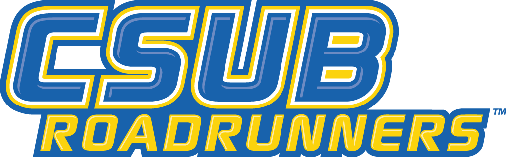 CSU Bakersfield Roadrunners 2006-Pres Wordmark Logo v3 iron on transfers for clothing